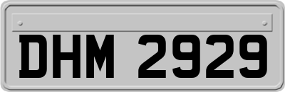DHM2929