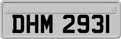 DHM2931
