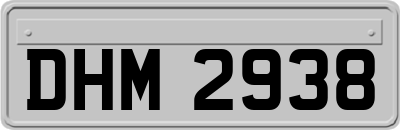 DHM2938