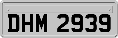 DHM2939