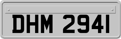 DHM2941