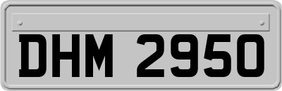 DHM2950