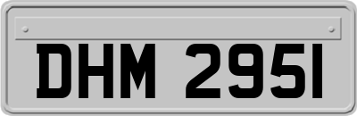 DHM2951