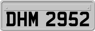 DHM2952