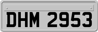 DHM2953