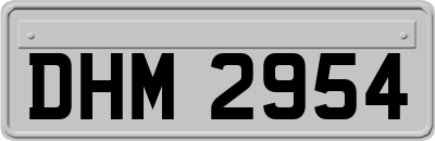 DHM2954