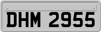 DHM2955