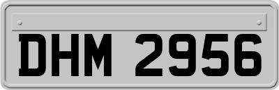 DHM2956
