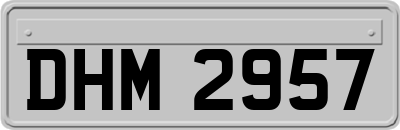 DHM2957