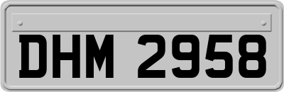 DHM2958