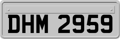 DHM2959