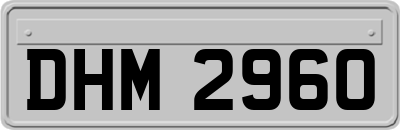 DHM2960