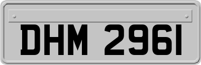 DHM2961