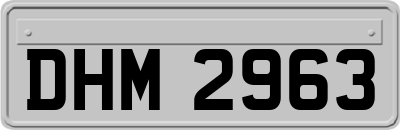 DHM2963