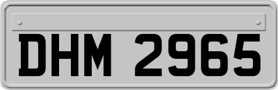 DHM2965