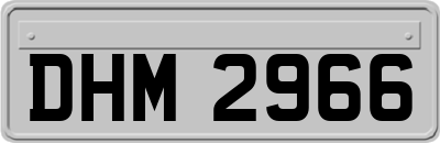 DHM2966