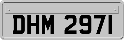 DHM2971
