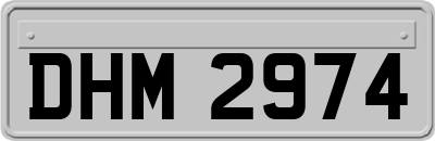 DHM2974