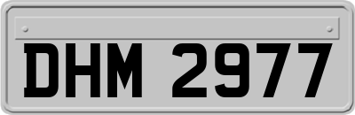 DHM2977