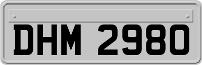 DHM2980