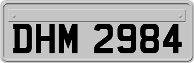 DHM2984