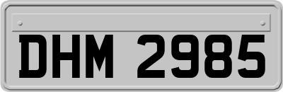 DHM2985