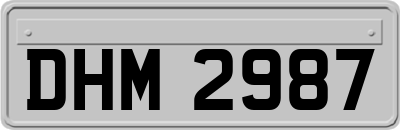 DHM2987