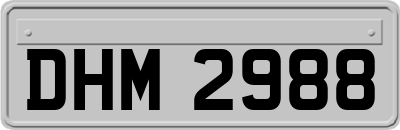 DHM2988