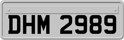 DHM2989