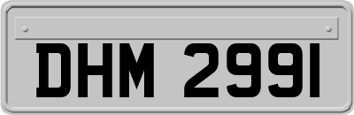 DHM2991