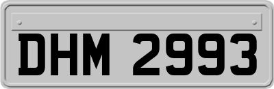 DHM2993