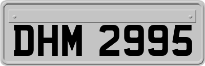 DHM2995