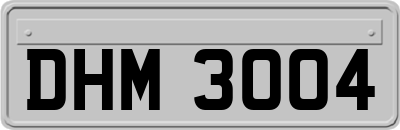 DHM3004