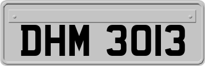DHM3013