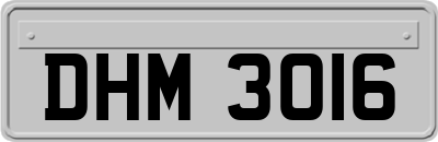 DHM3016