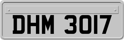 DHM3017