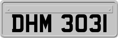 DHM3031