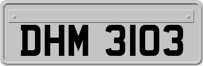 DHM3103