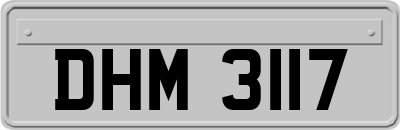 DHM3117