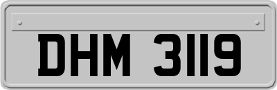 DHM3119