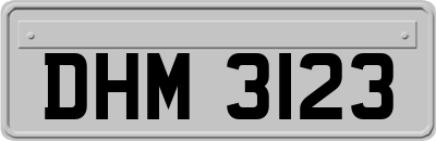 DHM3123