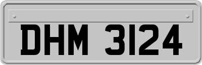 DHM3124