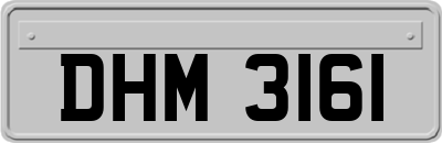 DHM3161