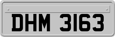 DHM3163