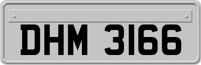 DHM3166