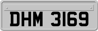 DHM3169