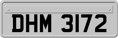 DHM3172
