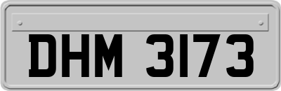 DHM3173