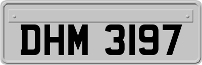 DHM3197