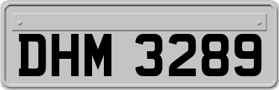 DHM3289